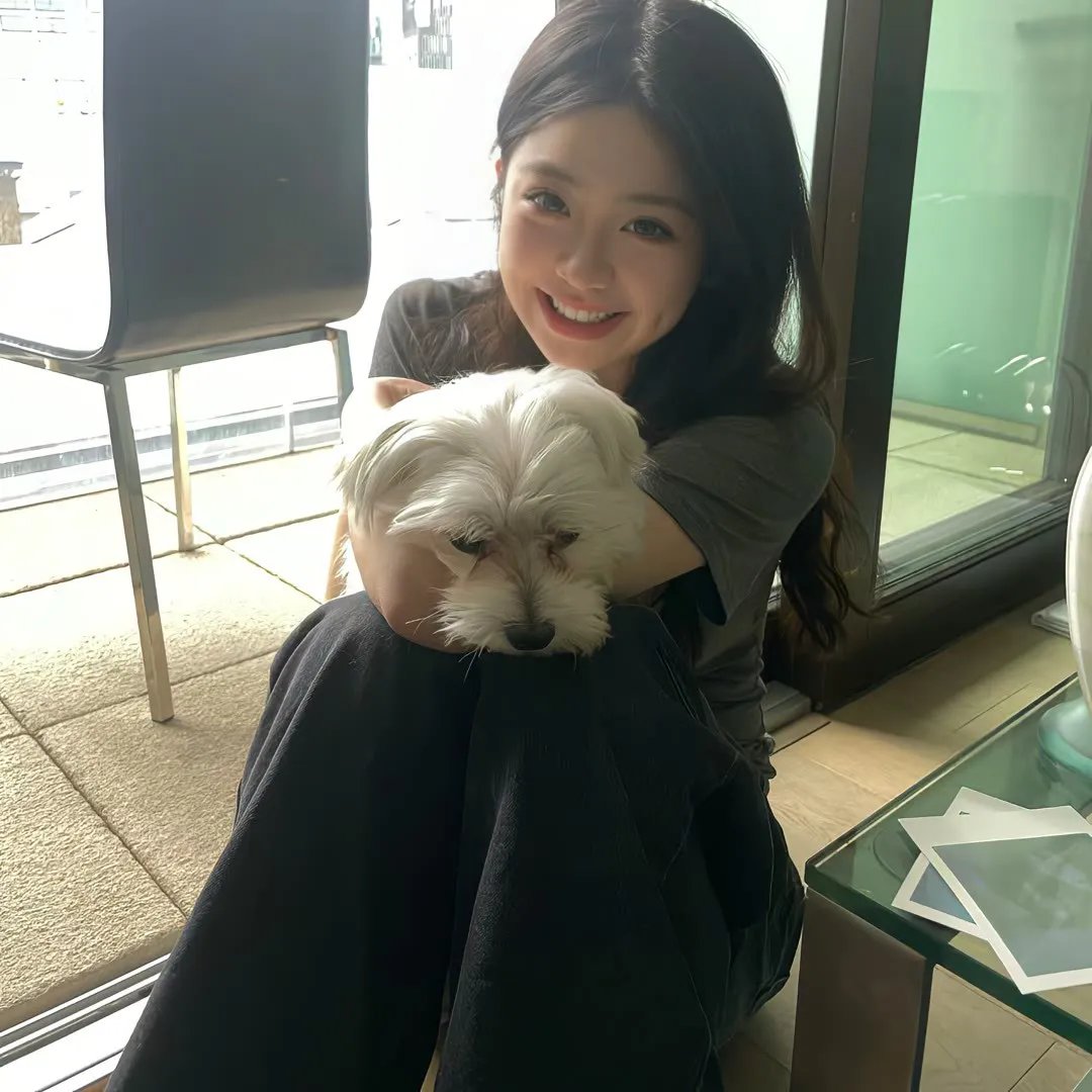 怪医杜立德5:百万傻蛋国语