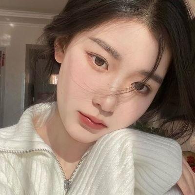 企鹅之岛：福克兰